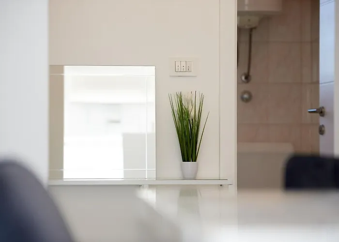 Fratelli * トロギール